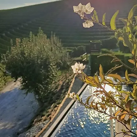 Sogno In Langa 4*