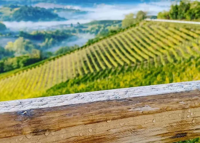 Frühstückspension Sogno In Langa