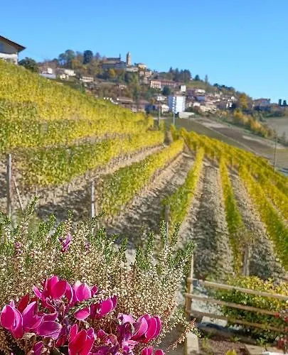 Sogno In Langa Oda ve Kahvaltı